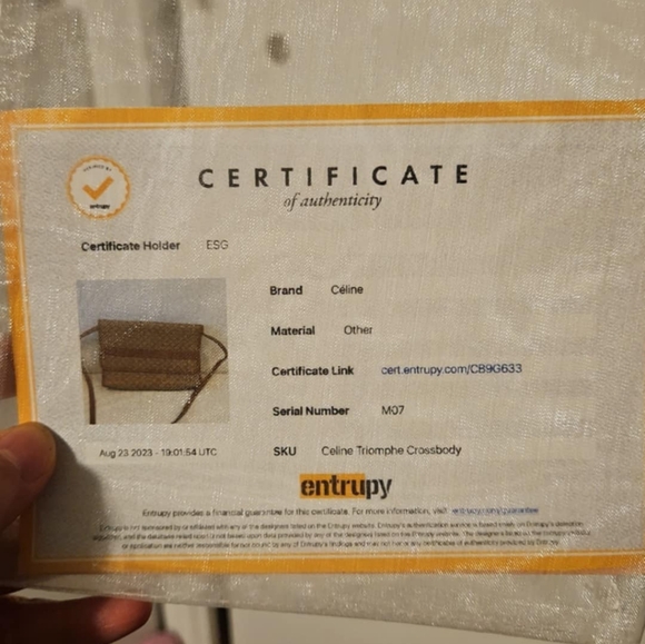 Celine Triomphe Crossbody Bag - Picture 4 of 4